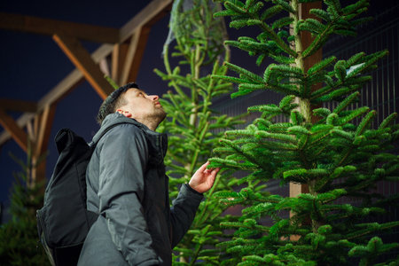 Theme is symbol of Christmas and New Year holidays. Man choosing christmas tree. Christmas tree...