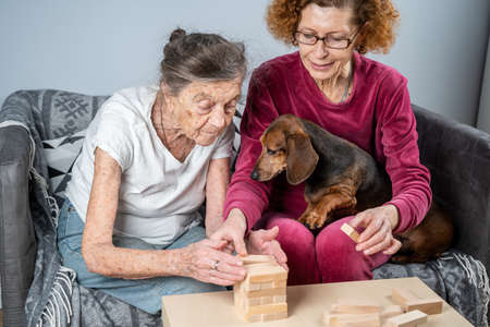 Retired mother and daughter spend time together at home, playing board game and caressing dachshund dog. Caucasian senior woman builds tower of wooden blocks with volunteer assistant in nursing homeの写真素材