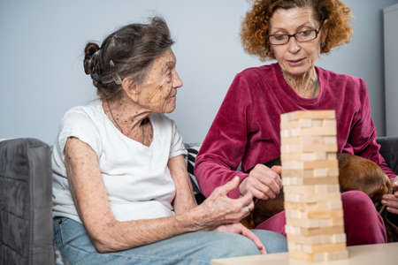 Retired mother and daughter spend time together at home, playing board game and caressing dachshund dog. Caucasian senior woman builds tower of wooden blocks with volunteer assistant in nursing homeの写真素材