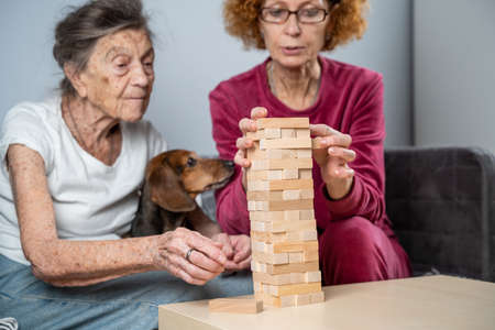 Elder woman and her adult daughter together with dachshund dog spend time together at home playing board game collecting wooden blocks in tower.  game. Theme is dementia and alzheimersの写真素材