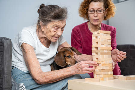 Elder woman and her adult daughter together with dachshund dog spend time together at home playing board game collecting wooden blocks in tower.  game. Theme is dementia and alzheimersの写真素材