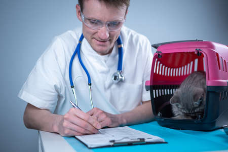 Tabby cute cat Scottish Straight breed on visit to vet doctor at animal hospital. Happy european veterinarian with clipboard in clinic next to pet carrier at examination table. Veterinary practiceの写真素材