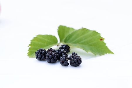 Fresh Organic Forest Blackberry, Green Leaves on White Background