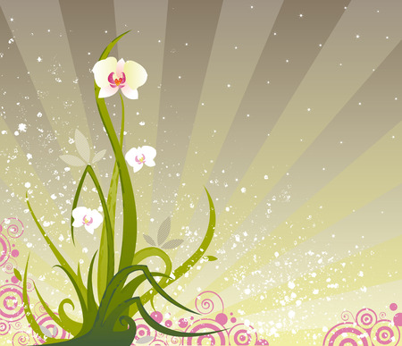 An orchid plant rising up in front of a radiant bursting backgroundのイラスト素材