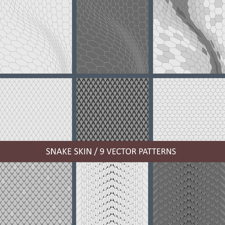 Set of vector snake skin texturesのイラスト素材