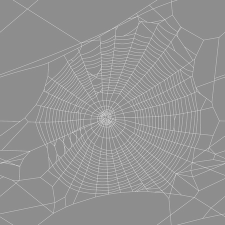Background spider webのイラスト素材