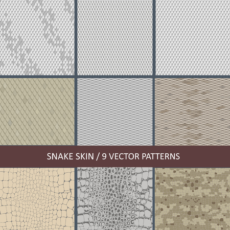 set of vector seamless snake skin texturesのイラスト素材