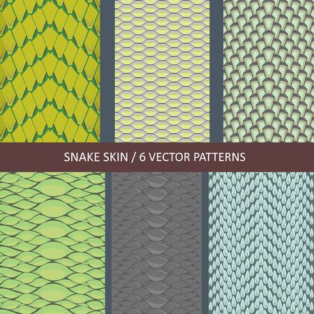 set of vector decorative snake skin texturesのイラスト素材
