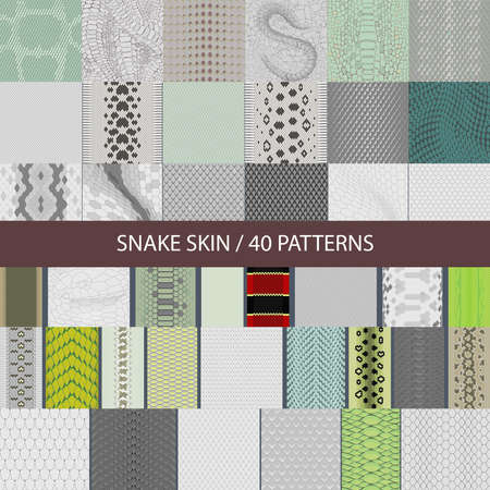 collection of vector seamless snake skin textures