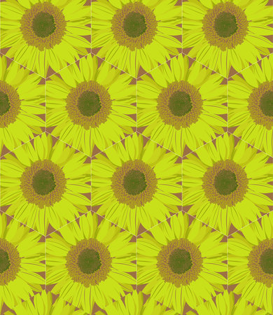 Seamless pattern with sunflowers on a yellow background.のイラスト素材