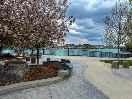 A scenic lakeside park with curved benches, blooming cherry blossoms, and a winding pathway. The...