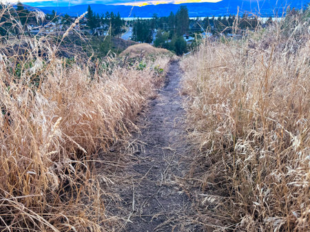 A narrow, winding dirt path descends through dry, golden tall grass, leading towards a distant view...