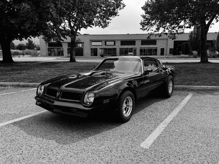 A bold black and white photograph showcasing the imposing front of a classic Pontiac Trans Am, parked with trees and a building in the background.の写真素材