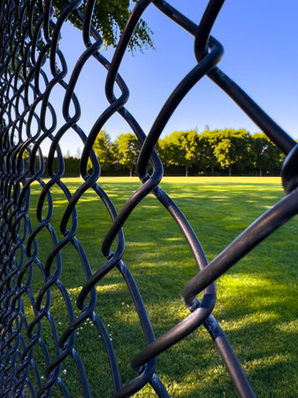 A dynamic, close-up shot of a black chain link fence in the foreground, sharply contrasting with a vibrant, sunlit green grass field and a line of yellow-green trees.の写真素材