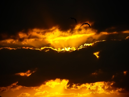 Dark clouds with sunshine and birds flyingの写真素材
