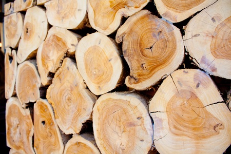Wood piecesの写真素材