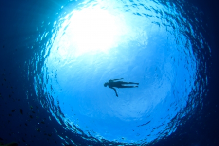 A woman swimming alone in the seaの写真素材