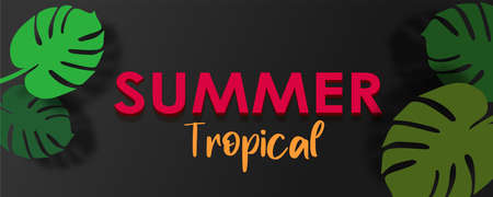 Template layouts in tropical style. Tropical leaves and papaya. Exotic botany. Frame for the design. Set of vector tropical banners. background in bright colors. Suitable for website, spa, postcardsの写真素材