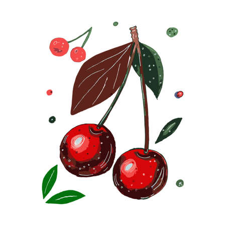 Cherry fruit with leaves and berries. Hand drawn vector illustration.の写真素材