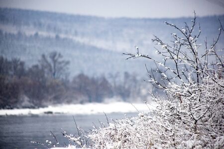 snow on a beautiful spring morningの写真素材