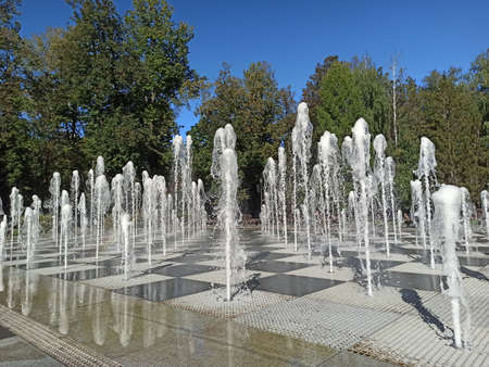 fountain in the city parkの写真素材