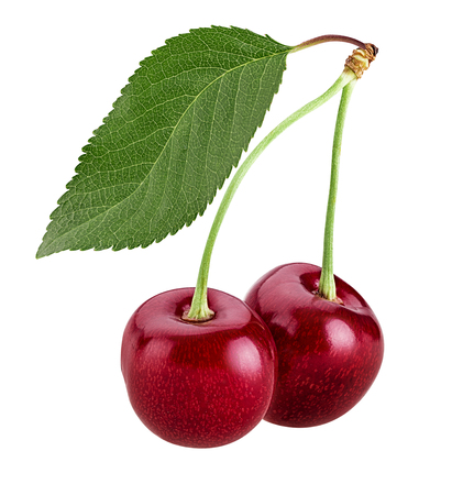 Sweet cherry berry, two on a branch with leaf isolated on white background. Clipping Pathの写真素材