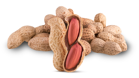 Heap of dried, opened and closed peanut shells with nuts visible isolated on white background.  Full depth of field.の写真素材