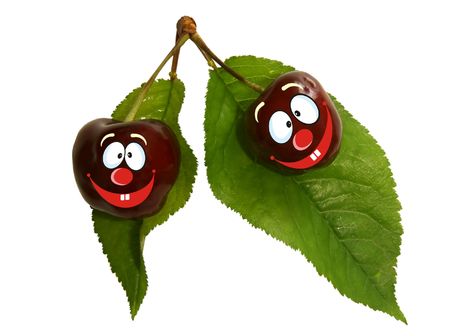 Funny cherry isolated on white backgroundの写真素材