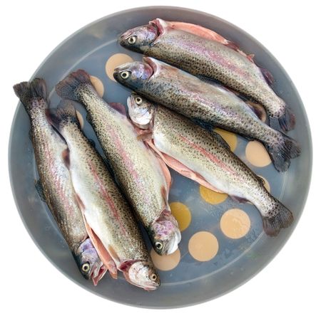 A rainbow trout waiting in dish, to be fried. Clipping path.の写真素材