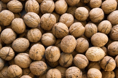 Closeup of brown raw walnuts backgroundの写真素材
