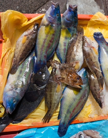 Fresh seafish on the fish market in Nice, France
