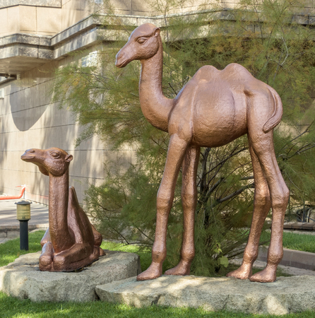 ALMATY, KAZAKHSTAN - OCTOBER 20, 2015: The sculpture "The Camels" in the residential complex "Capital Centre". Sculptor Pavel Shorohov, a member of the Union of Artists.のeditorial素材