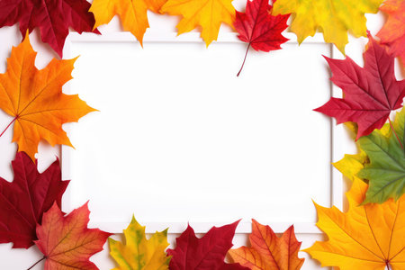Frame made of different autumn colorful maple leaves, with copy spaceの素材