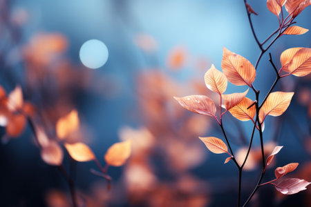 Bright autumn leaves abstract backgroundの素材