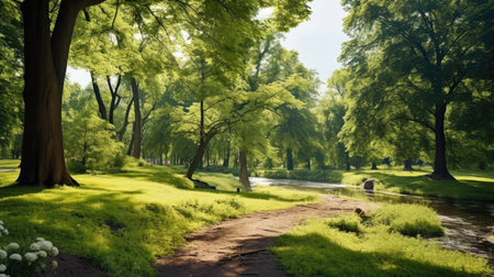 Beautiful summer landscape with green foliage in the parkの素材