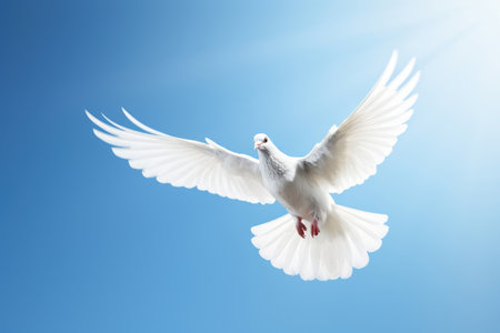 Flying white dove on the blue skyの素材