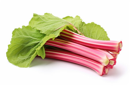 Rhubarb stalks on white backgroundの素材