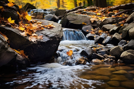 Flow of a mountain stream in the autumn forestの素材