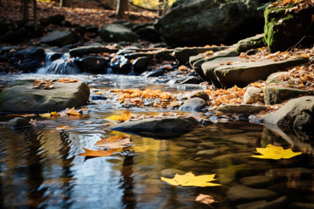 Flow of a mountain stream in the autumn forestの素材