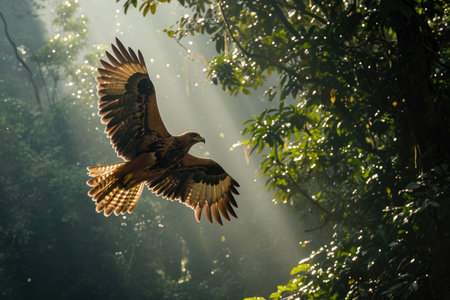 The Madagascar Serpent Eagle soaring gracefully above the emerald canopy of the rainforestの素材