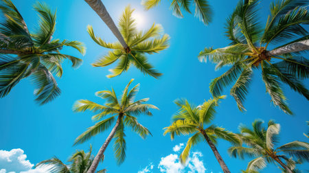 A breathtaking view looking upward at towering palm trees set against a pristine blue skyの素材