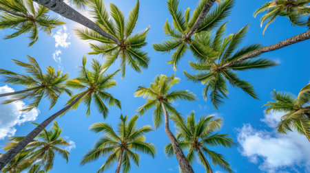 A breathtaking view looking upward at towering palm trees set against a pristine blue skyの素材