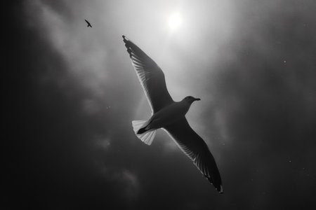 A seagull gliding gracefully through the sky, with its wings outstretchedの素材