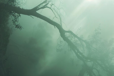 A mystical forest scene enveloped in ethereal mist, creating a sense of mystery and enchantmentの素材