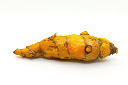 A fresh turmeric root, vivid and earthy, on a white backgroundの素材