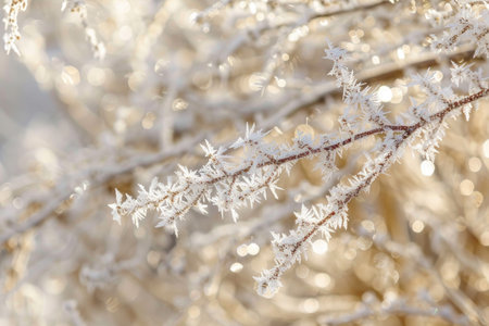 Delicate frost crystals adorning a springtime sceneの素材