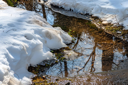 A captivating image of snow melting and revealing the vibrant landscape beneathの素材