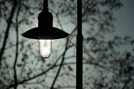 Lamp in the garden. Light bulb on the background of trees