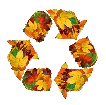 Recycling symbol of the autumn leaves の写真素材