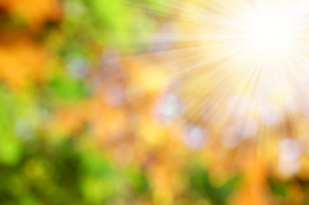 autumnal natural background blurring with sun rays の写真素材